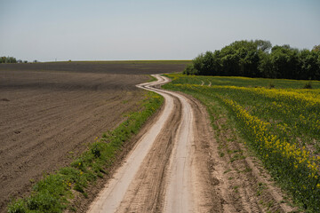Fototapeta na wymiar dirt road through fields Ukrainian village, summer sunny day, no one