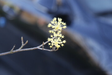 Photos of Korea, Republic of