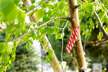 Martisor, Martenitsa on tree branch. Balkan (Romanian, Macedonian, Bulgarian, Greek, Albanian) eastern european spring traditional gifts for loved ones on March 1st, symbol of the beginning of spring