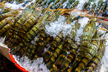 Fresh king prawn chilled with ice for preservation on sell in an open air gourmet high end exotic fresh food market in Bangkok, Thailand