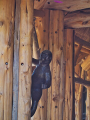 Baby gorilla statue at Omaha's Henry Doorly Zoo in Omaha, Nebraska - obrazy, fototapety, plakaty