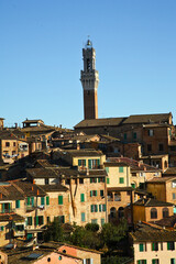 Fototapeta na wymiar Siena, veduta panoramica