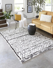 Modern grey and white living area interior room rug design.