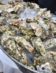 Chilled oysters lie on crushed ice