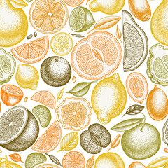 Citrus seamless pattern background design. Engraved style. Hand drawn kumquat, lemon, tangelo, etc.