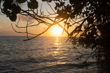 early morning sunrise sunset panning shot between tree branches with waves of blue water lapping on the shore in the tropical paradise of swaraj dweep havelock island in andamans