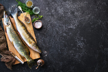 Fresh raw pike perche or zander and pike fish with ingredients prepared for cooking