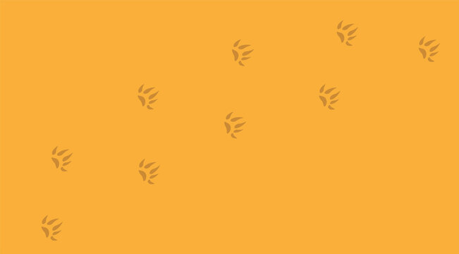 impronte, fauna, orme, animali