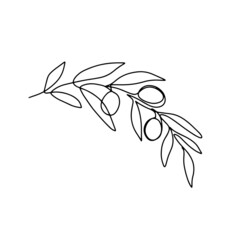 Hand drawn olive branch isolated on white background. Outline olive tree branch for menu, logo, greeting cards, patterns, web. Line art, one line doodle olive branch.