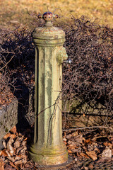Vertical shot of an old, rusty street fire hydrant among dry tree branches