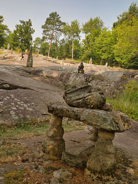 Green leaved trees and rock in Ellsworth Rock Gardens at Voyageurs National Park, Minnesota, USA