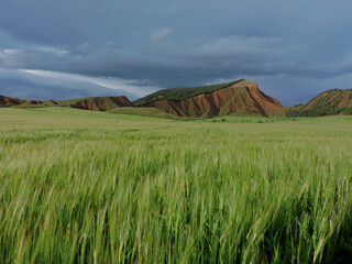 Springtime landscape in Guadalajara, Spain