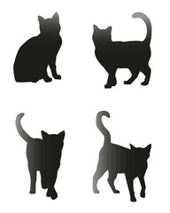 Cats set black silhouette isolated vector