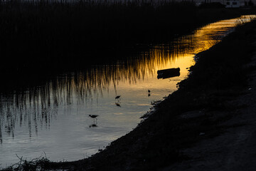 Scenic view of a river with sunset reflections in a rural area