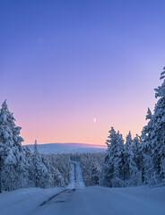 Vertical shot of a road in a rural area in winter with a colorful sunset in the sky