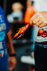 Vertical closeup of a person holding a fresh crawfish