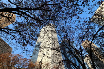 下から見上げた東京都庁