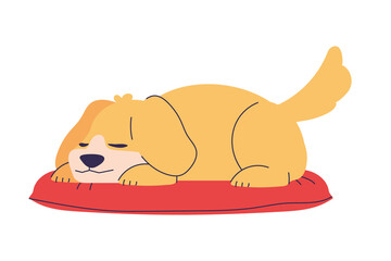 sleeping dog on cushion