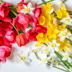 Spring composition of flowers, tulips and daffodils.