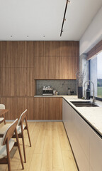 Minimalist modern kitchen interior in a backyard house.