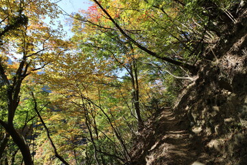 秋の埼玉県秩父の両神山の登山
