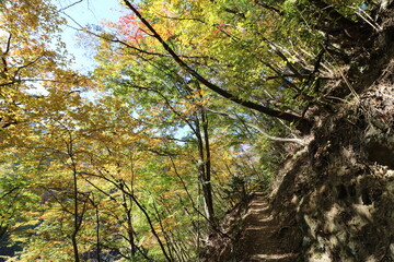 秋の埼玉県秩父の両神山の登山