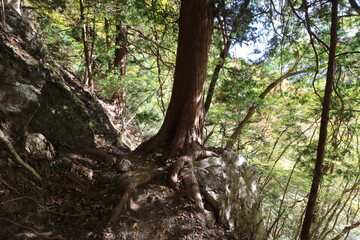 秋の埼玉県秩父の両神山の登山