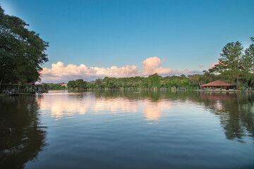 Magic Sunrise in Brazilian Savannah