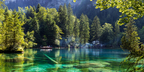 Scenic green lake surrounded by a coniferous forest - obrazy, fototapety, plakaty