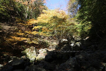 秋の埼玉県秩父の両神山の登山