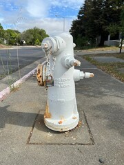 fire hydrant in the city