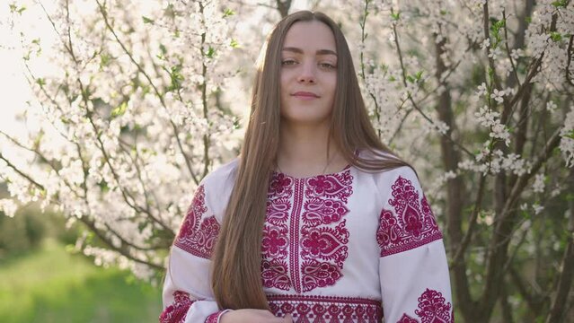 4k shot of young beautiful Ukrainian woman in vyshyvanka  - ukrainian national clothes. Woman in countryside near the blossoming tree.  Stand with Ukraine  