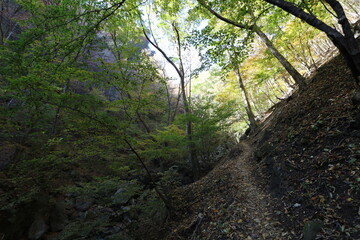 秋の埼玉県秩父の両神山の登山