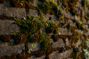 Old brick wall in vintage rusty-rough style for backgrounds and wallpapers. Italian fortress.
