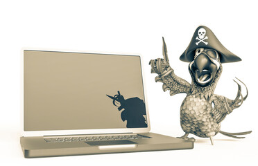 parrot pirate is talking about the laptop