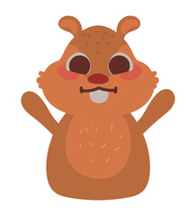 squirrel cute animal