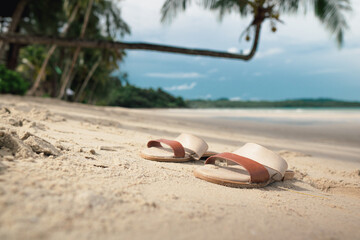 brown shoes on sand with coconut tree and beautiful beach as background, nature and holiday concept