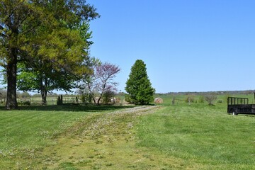 Grassy Lane Leading to a Farm Field