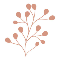 floral branch nature