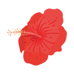 tropical hibiscus flower icon