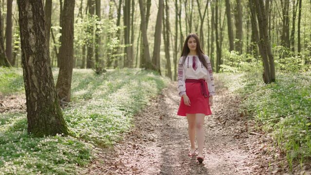 wide 4k shot of young beautiful Ukrainian woman in vyshyvanka  - ukrainian national clothes outdoor in the woods. Stand with Ukraine  