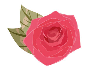 flower rose leaf