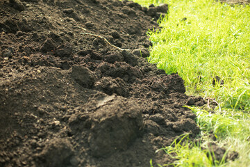 Soil on green grass. Land for planting. Black earth with trace elements.