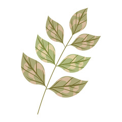 branch leaves icon