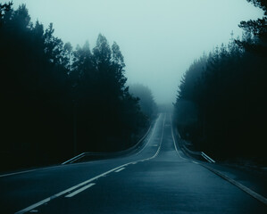 Carretera calle camino en el bosque con niebla neblina