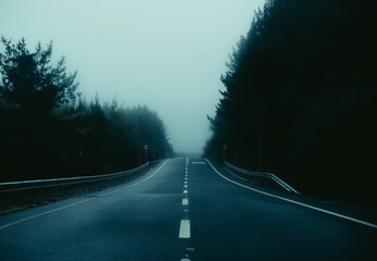 Carretera calle camino en el bosque con niebla neblina