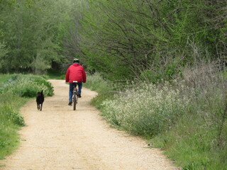 cyclist accompanied by a dog doing quiet sport slowly