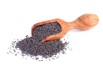 Poppy seeds in olive scoop, isolated on white background. Organic spice blue confectionery poppy.