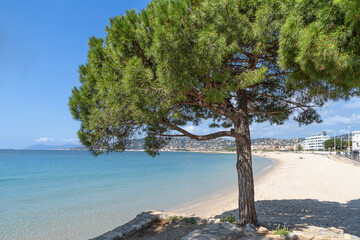 Juan Les pins beach on the Cote d'Azur in the south of France