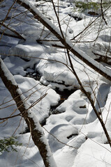 Mountain stream surrounded by snow